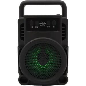 اسپیکر گریت نایس مدل GTS 1360